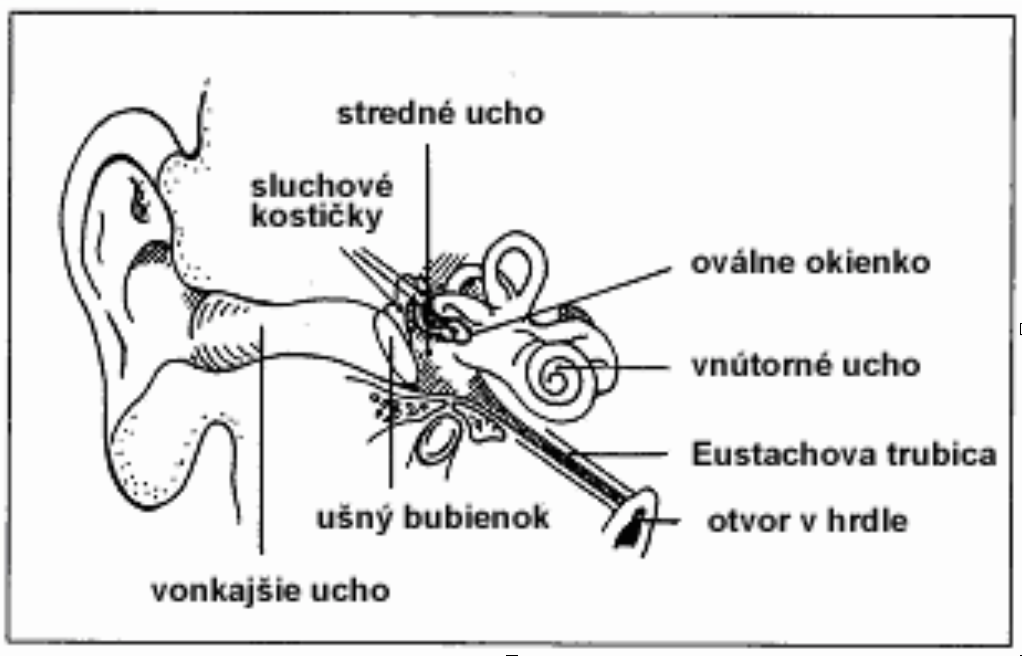 Snímka obrazovky 2021-01-27 o 16.01.08.png