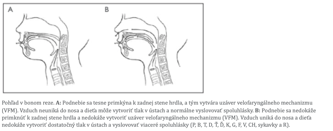 Snímka obrazovky 2021-01-27 o 15.42.26.png